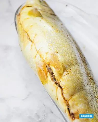 ماهی شکم پر مرحله به مرحله