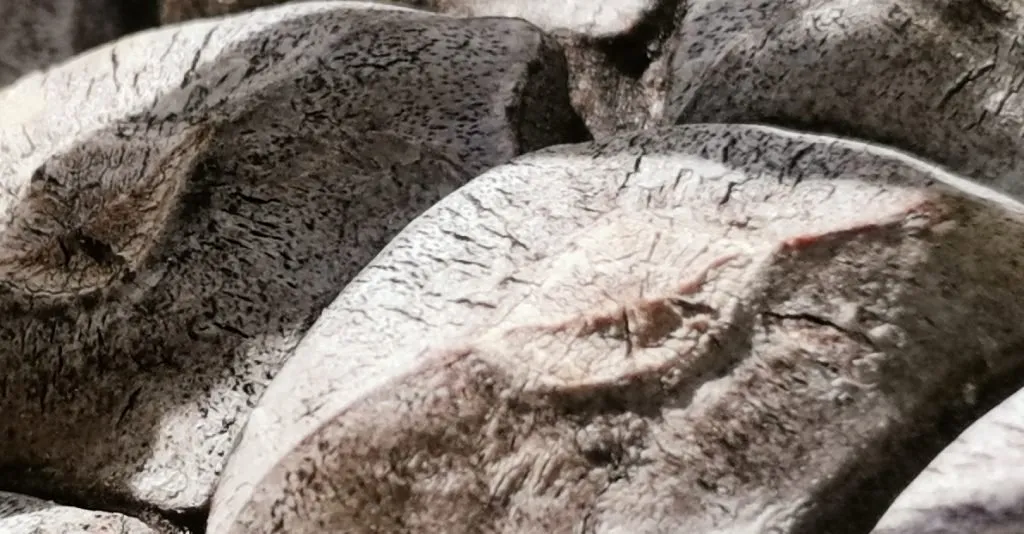 بررسی و نمونه عکس های دوربین گوشی هواوی نوا 5T