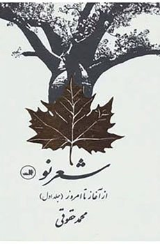 شعر معاصر فارسی