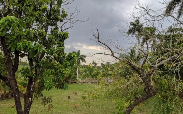 دوربین پیکسل 4a