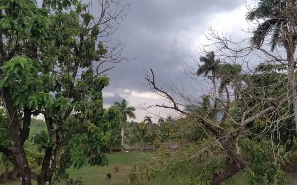 دوربین پیکسل 4a