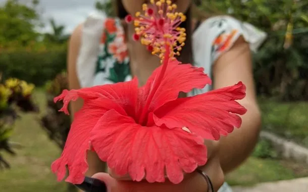 دوربین پیکسل 4a