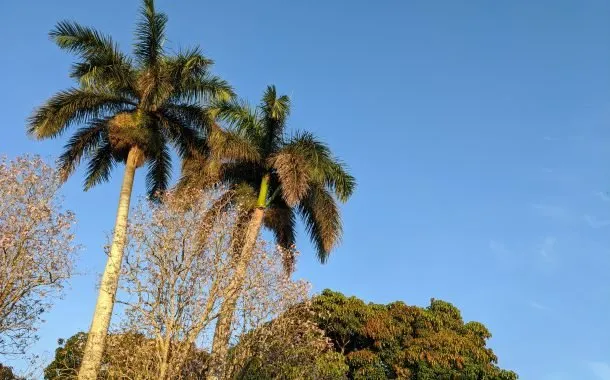 دوربین پیکسل 4a