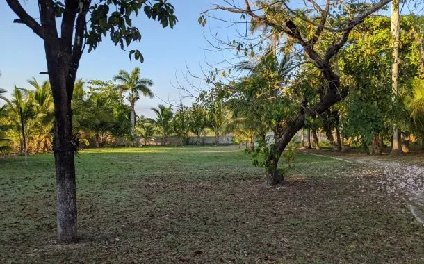 دوربین پیکسل 4a