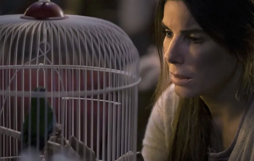 پربیننده ترین فیلم های نتفلیکس جعبه پرنده