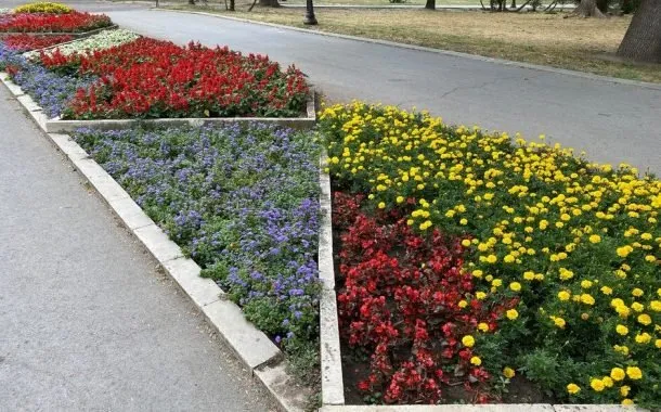 مقایسه‌ی دوربین گوشی