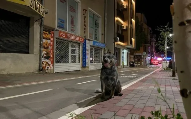 مقایسه‌ی دوربین گوشی