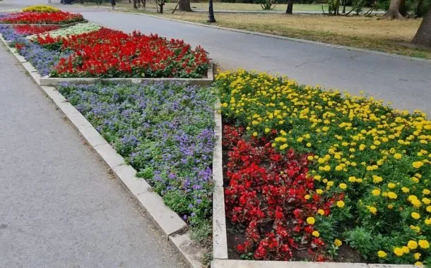 مقایسه‌ی دوربین گلکسی نوت 20