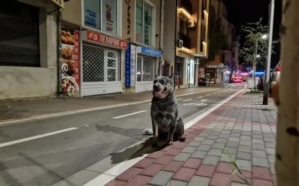 مقایسه‌ی دوربین گلکسی نوت 20