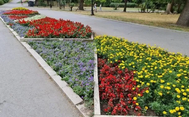 مقایسه‌ی دوربین گوشی