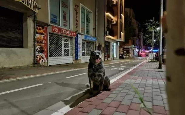 مقایسه‌ی دوربین گوشی