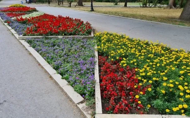 مقایسه‌ی دوربین گوشی