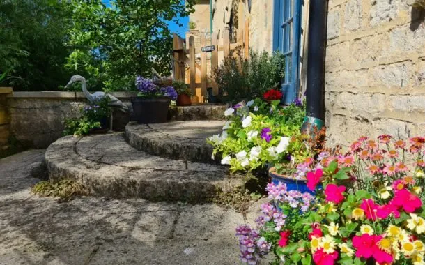 نمونه تصویر ثبت شده توسط دوربین گلکسی اس 20 پلاس