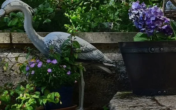 تصویر ثبت شده توسط دوربین گلکسی اس 20 پلاس