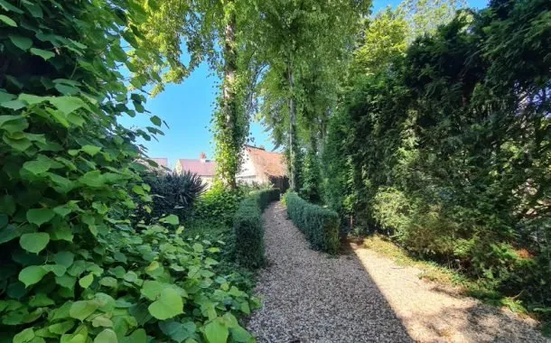 تصویر ثبت شده توسط دوربین گلکسی اس 20 پلاس