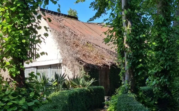 تصویر ثبت شده توسط دوربین گلکسی اس 20 پلاس