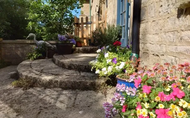 نمونه تصویر ثبت شده توسط دوربین سونی اکسپریا 1 مارک 2