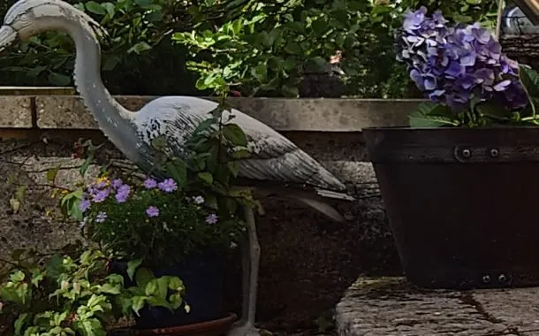 تصویر ثبت شده توسط دوربین سونی اکسپریا 1 مارک 2