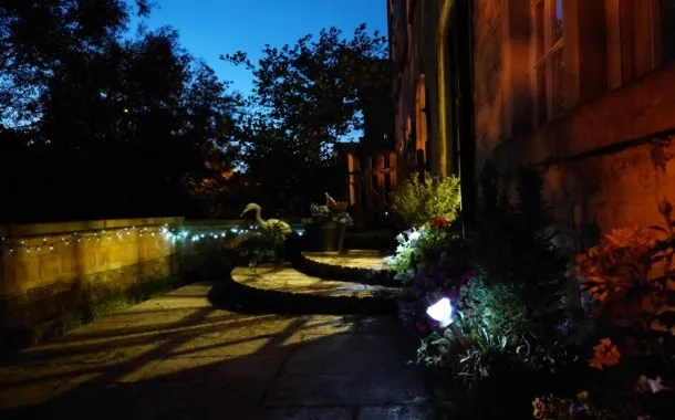 تصویر ثبت شده توسط دوربین سونی اکسپریا 1 مارک 2