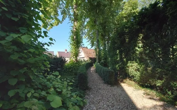 تصویر ثبت شده توسط دوربین سونی اکسپریا 1 مارک 2