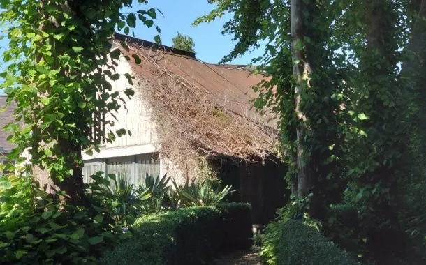 تصویر ثبت شده توسط دوربین سونی اکسپریا 1 مارک 2