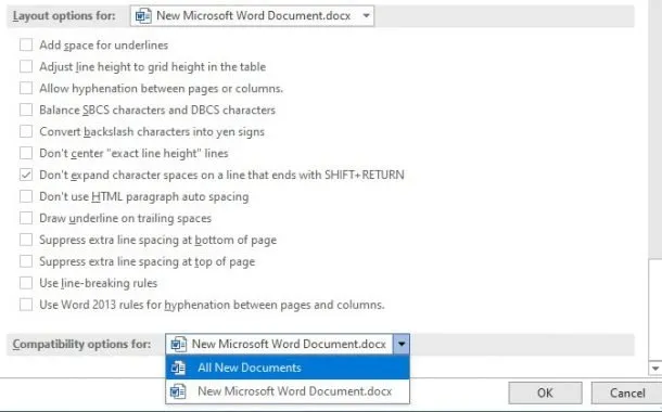 تنظیمات Layout option در ورد