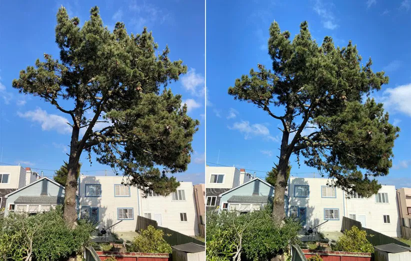 مقایسه‌ی دوربین آیفون SE 2020 با آیفون 11