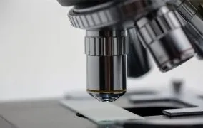 میکروسکوپ گوگل برای تشخیص سرطان