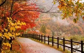 عکاسی در فصل پاییز