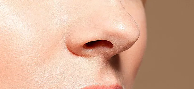 باکتریها در بدن