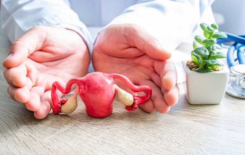 همه چیز دربارهی پیشیائسگی