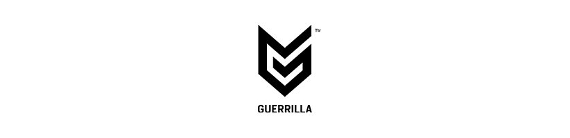 استودیوی بازی سازی Guerilla Games