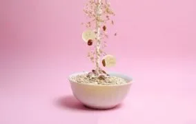 آیا مصرف بیش از حد جو دوسر برای بدن مضر است؟