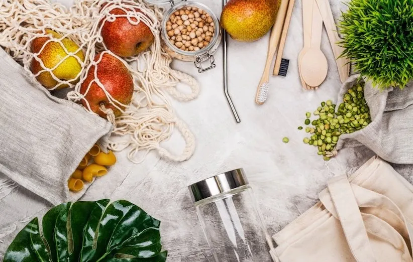 زندگی بدون پسماند - سخن آخر