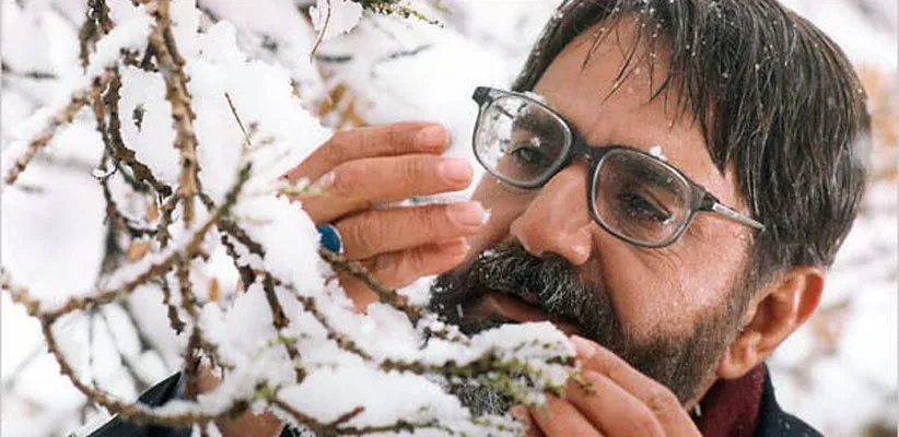 فیلم بید مجنون