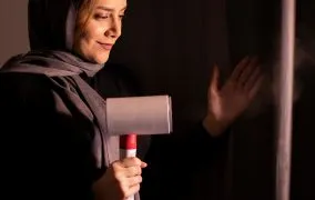 اتو بخار شیائومی مدل Deerma DEM-HS218