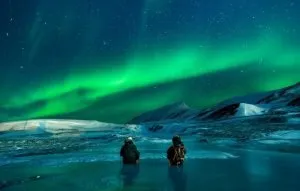 فیلم درباره طبیعت