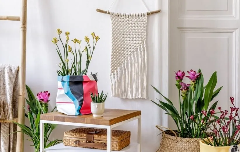 وابی-صابی استفاده از طبیعت