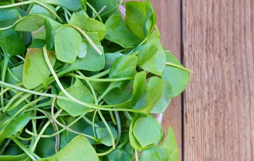 شاهی برای تقویت سلامت مردان