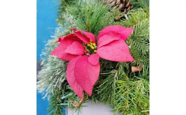 هواوی P40 پرو پلاس