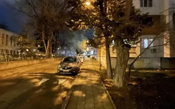 آیفون 12 پرو مکس