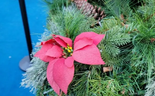 گلکسی S21 اولترا