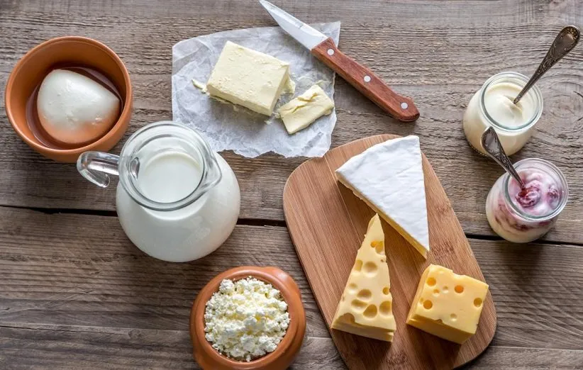 محصولات لبنی