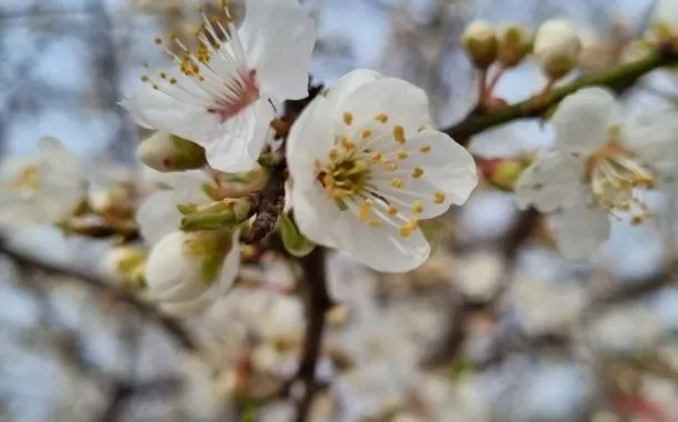 مقایسهی وانپلاس 9 با گلکسی S21