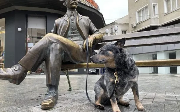 گلکسی A52 آیفون SE 2020