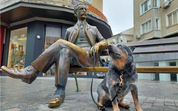 گلکسی A52 آیفون SE 2020