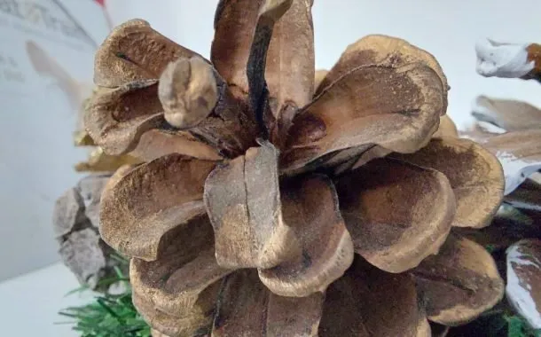 گلکسی A52 آیفون SE 2020