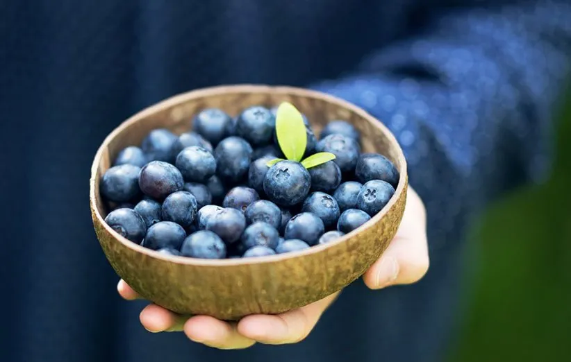 ماسک میوه‌ای با بلوبری