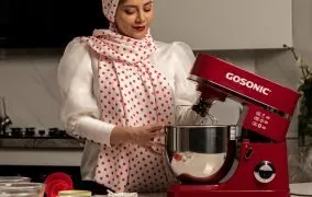 همزن برقی گوسونیک