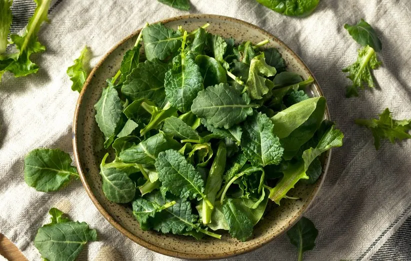 هضم بهتر غذا در معده